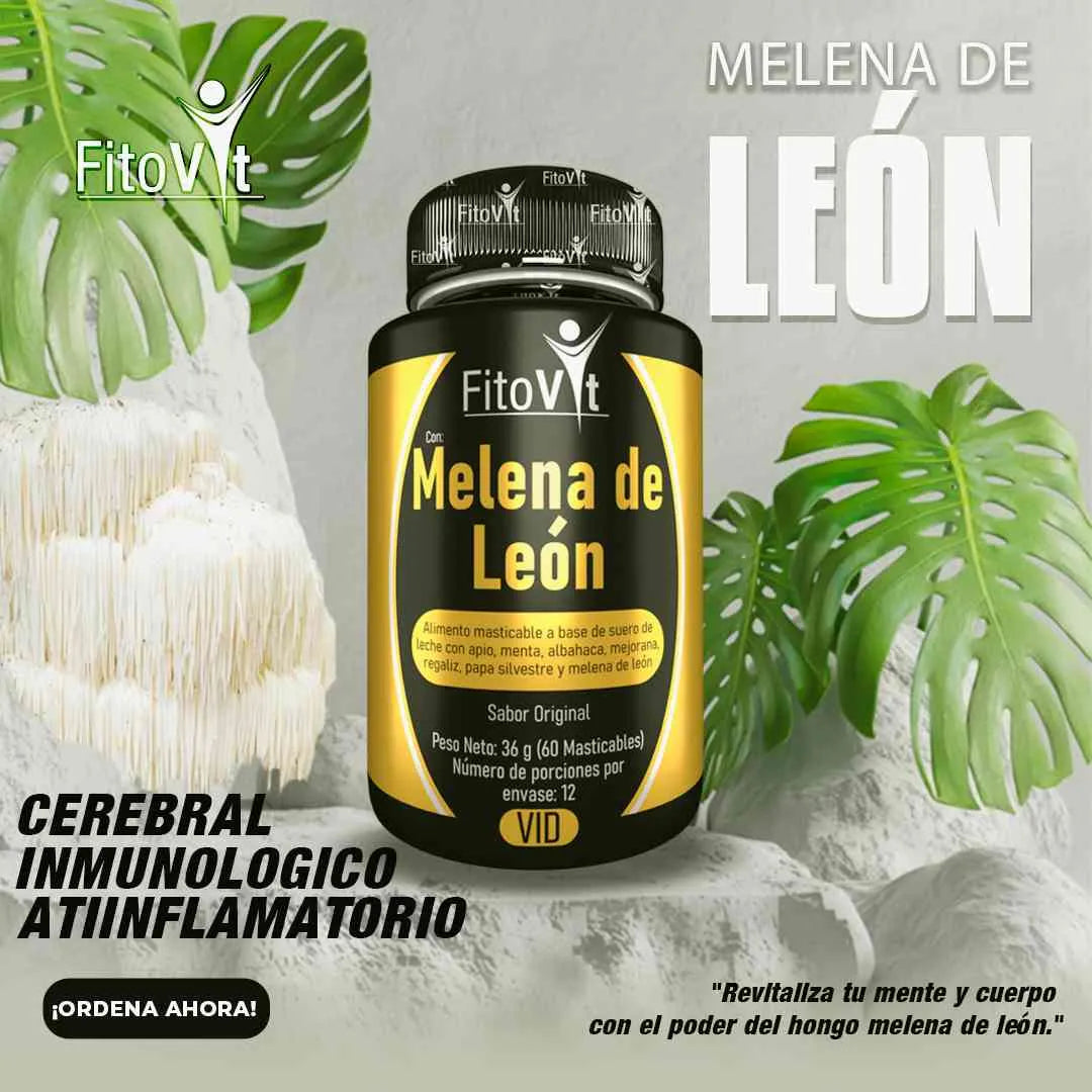 X2 MELENA DE LEON X60UNID - FITOVIT