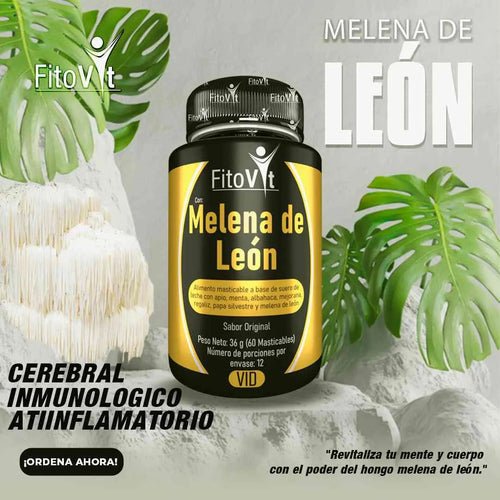 X2 MELENA DE LEON X60UNID - FITOVIT