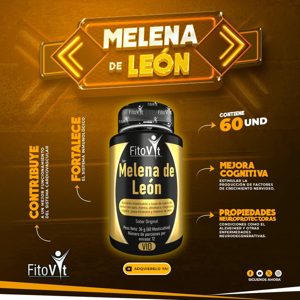 X2 MELENA DE LEON X60UNID - FITOVIT